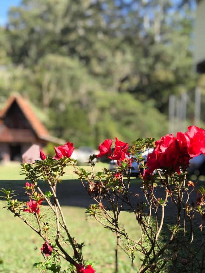 Pousada Guimaraes Hotel Sao Pedro da Serra  Eksteriør billede